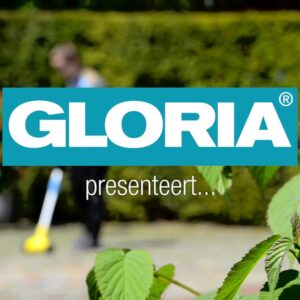 Gloria WeedBrush